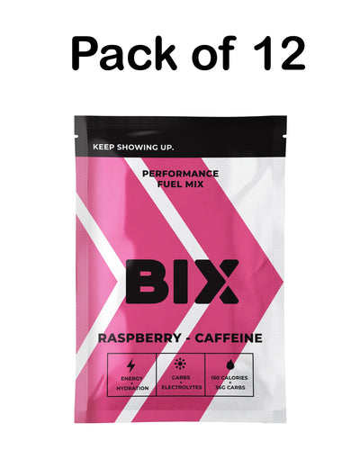 Bix Performance Fuel 41g (3 Flavours)